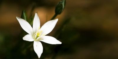 Mi guardava dall'alto