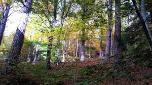 In una sospensione di silenzio