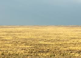 E d�improvviso un mattino