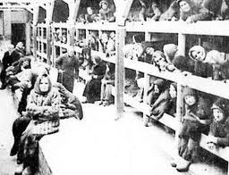 Viaggio a Mauthausen