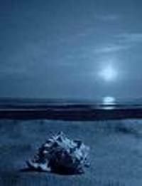 Il suono di un amore