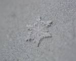 Fiocco di neve