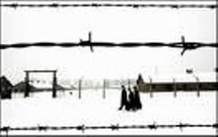 Fiocchi su Auschwitz