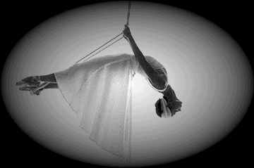 Un Puzzle di Emozioni