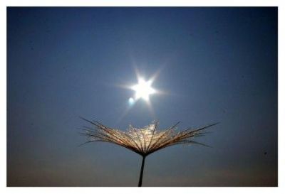 Una Virgola Nel Cielo