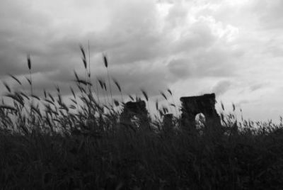 In Un Soffio Di Silenzio