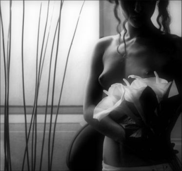 Un'Antitesi Perfetta