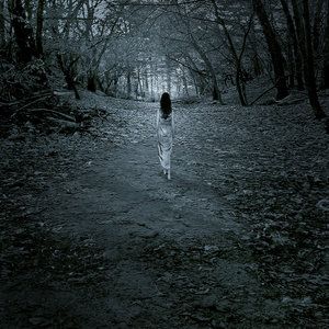 Una Fitta Solitudine