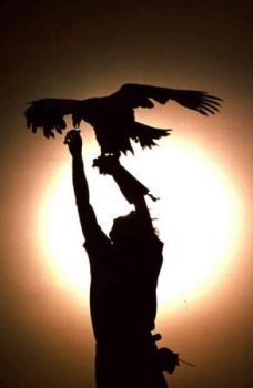 Per Amico Solo Un'Ombra  