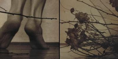 Palese Non Appartenenza  