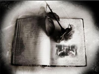 Un Riscatto Tra Le Righe  