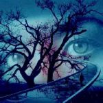 Un'Intrinseca Tempesta  