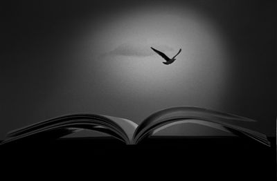 Una Penna Per Volare