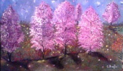 Senza Alcun Compromesso