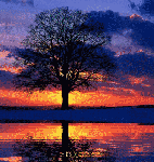 Dolce Utopia di Cavalcar le Nuvole