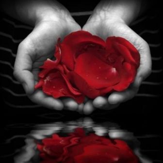 Il Cuore Non Userà Pennelli... Ma Petali di Rosa