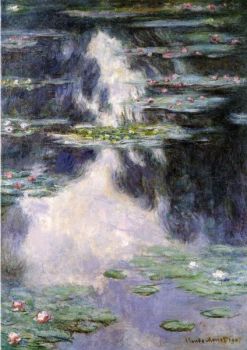 I Colori della Notte