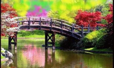 Il Tuo Dire è in Fondo al Cuore