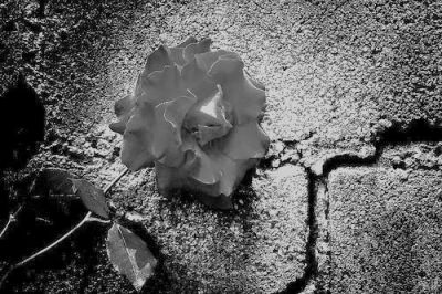 El muro que nos separa