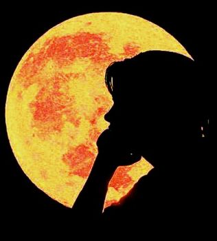 Un fiore sul marciapiede