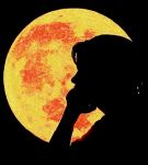 Un fiore sul marciapiede