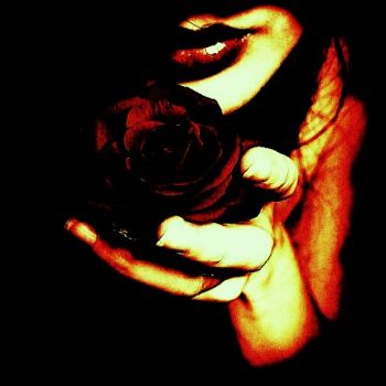 Lascer� dei versi di ci� che mai sar�