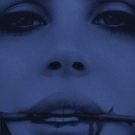 Se la poesia fosse un ponte