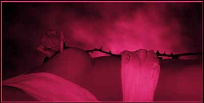 La m�sica de los Dioses