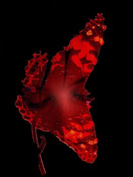 Gli occhi della solitudine