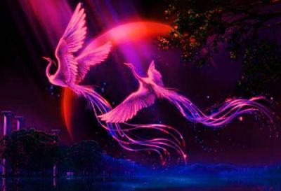 Il volo dell'araba fenice