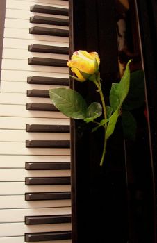 L'eco dei nostri silenzi