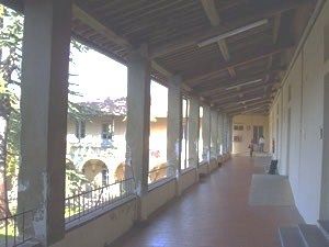 L'insegna del mio tempo