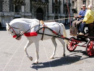 M'illumino d'incenso