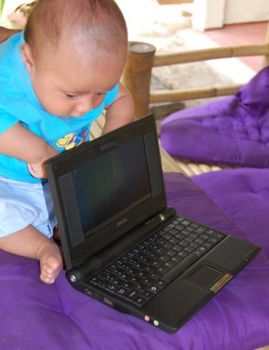 La prostituzione nel mondo delle cimici