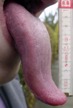 Professionalità impiegatizia