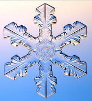 Morto un pappa se ne fa un altro