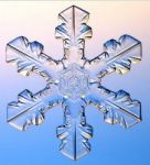 Morto un pappa se ne fa un altro