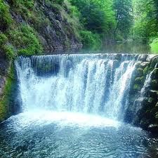 Sai, intorno pensano che io sia vecchio