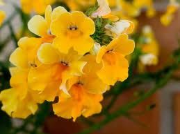 Quand'uno � cavaliere