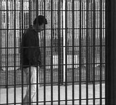 La gabbia  