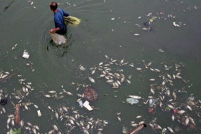 Non attraversare sulle strisce (� un punto di riferimento!)