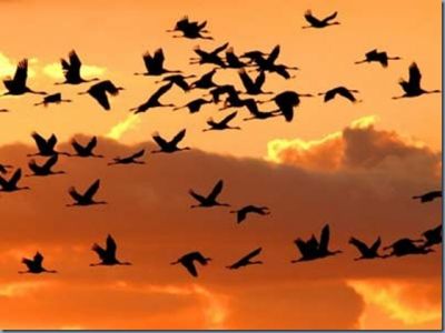 Oltraggio a Prevert N. 1