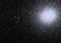 Gli occhi della notte