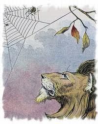 La zanzara e il leone