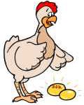 La gallina dalle uova d'oro