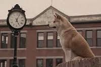 Il tuo migliore amico