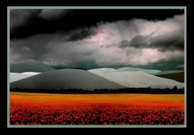 Desiderio al termine