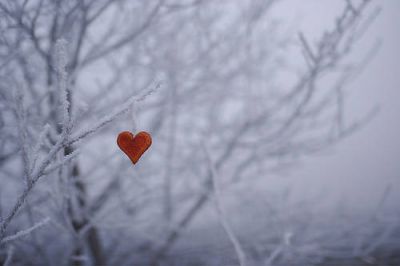 La sentenza di un illusione