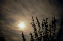 Come � stanco il mio vecchio