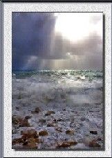 Nel sogno di una conchiglia